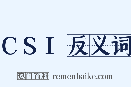 CSI反义词是什么意思的图片